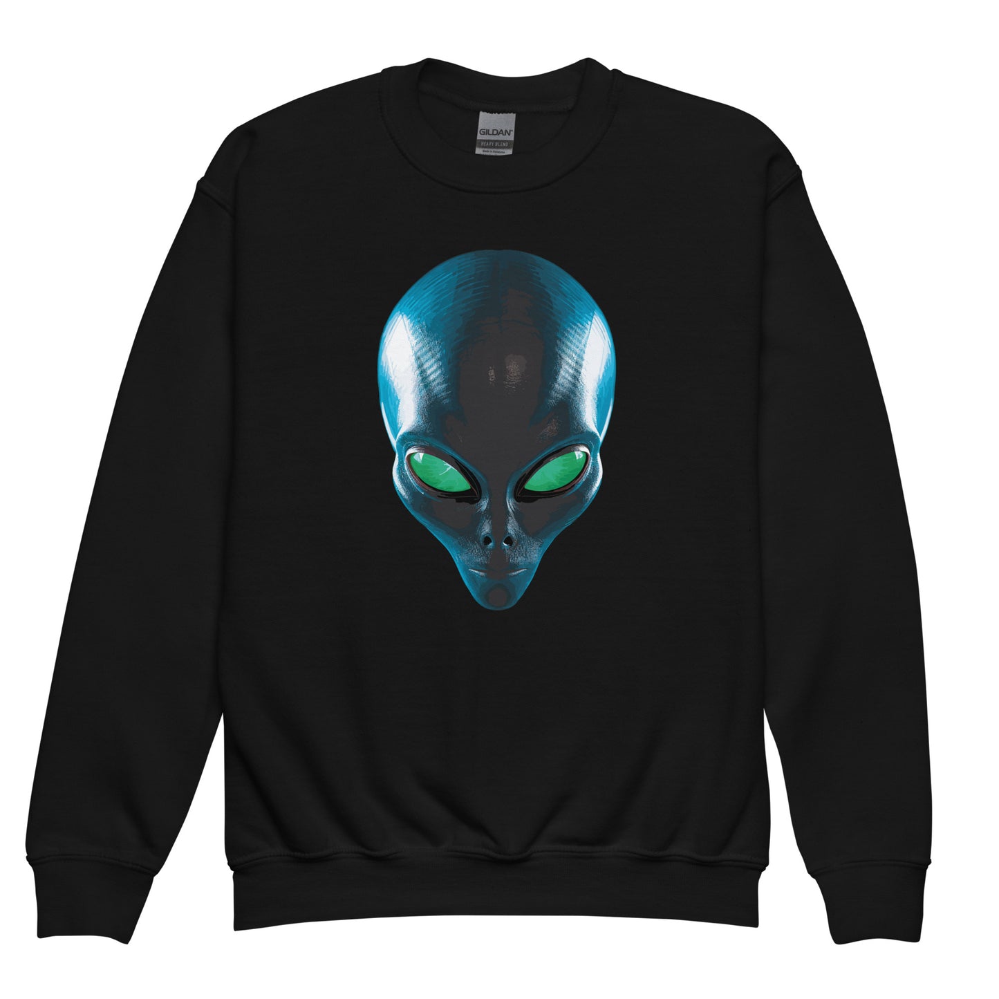 Alien Youth crewneck sweatshirt